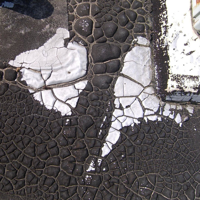 Alligatoring on a built-up roof.